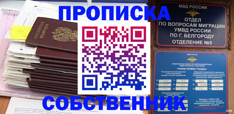 прописка законно в Шумихе